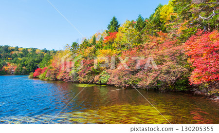 秋天的白駒池 秋天的白駒池 130205355