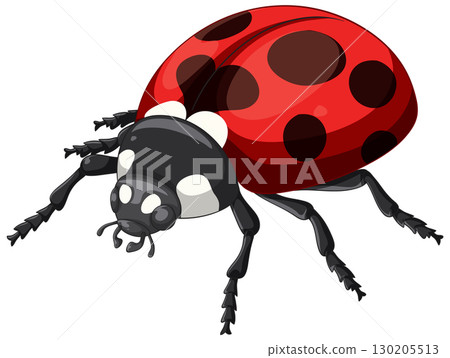 Vibrant Ladybug Vector Illustration with Bold Colors 130205513