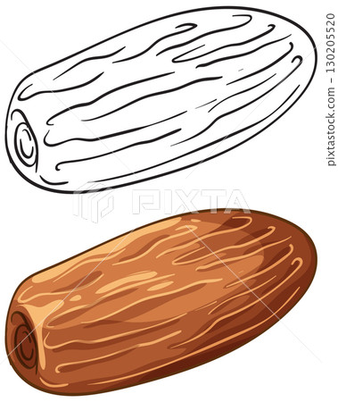 Whole Date Fruit Vector Illustration with Outline and Color Whole Date Fruit Vector Illustration with Outline and Color 130205520