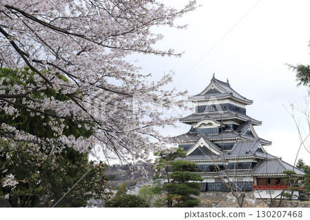 松本城天守閣（長野縣松本市） 130207468