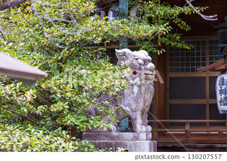 Komainu (guardian dogs) at Ogami Shrine in Hirakata City, Osaka Prefecture 130207557