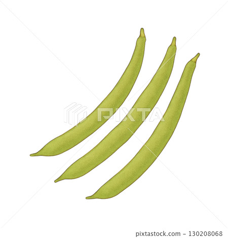 [蔬菜] 芸豆插畫 130208068