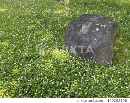 White clover and stone 130208108
