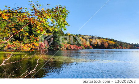 Shirakoma pond in autumn 130208268