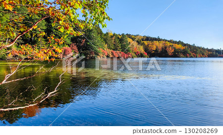 Shirakoma pond in autumn 130208269