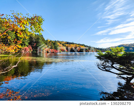 秋天的白駒池 130208270