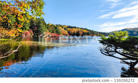 秋天的白駒池 130208272