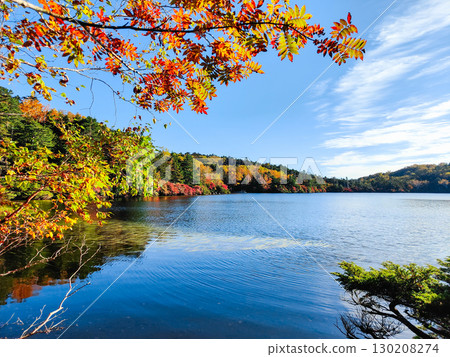 Shirakoma pond in autumn Shirakoma pond in autumn 130208274