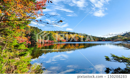 秋天的白駒池 秋天的白駒池 130208283