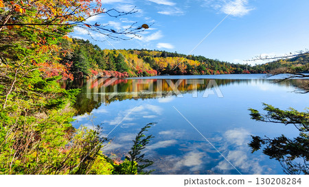 秋天的白駒池 秋天的白駒池 130208284