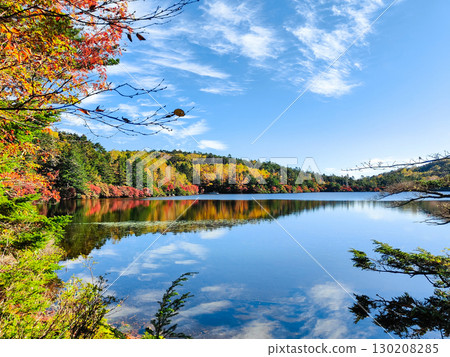 秋天的白駒池 130208285