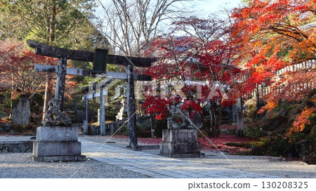 Furumine Shrine, with its grounds dyed in autumn leaves 130208325