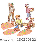 Family digging sweet potatoes 130209322