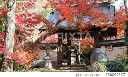 Yakuoji Temple, a mountain temple surrounded by autumn leaves 130209337