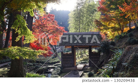 紅葉風景 西山宮(西山莊) 紅葉風景 西山宮(西山莊) 130209438