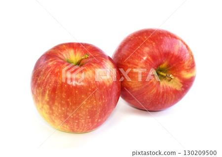 Apple (Shinano Red) 130209500