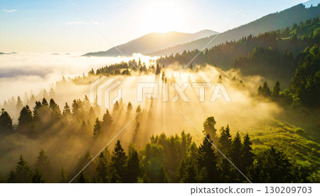 Golden sunlight streaming through morning mist over a lush forest, casting dramatic rays and creating a serene, ethereal landscape filled with warmth and tranquility Golden sunlight streaming through morning mist over a lush forest, casting dramatic rays and creating a serene, ethereal landscape filled with warmth and tranquility 130209703