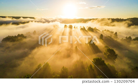 Golden sunlight streaming through morning mist over a lush forest, casting dramatic rays and creating a serene, ethereal landscape filled with warmth and tranquility Golden sunlight streaming through morning mist over a lush forest, casting dramatic rays and creating a serene, ethereal landscape filled with warmth and tranquility 130209704