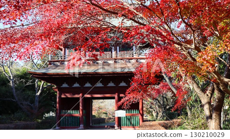 潮來市長勝寺的紅葉 130210029