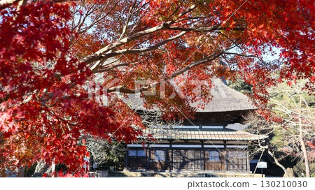 潮來市長勝寺的紅葉 潮來市長勝寺的紅葉 130210030