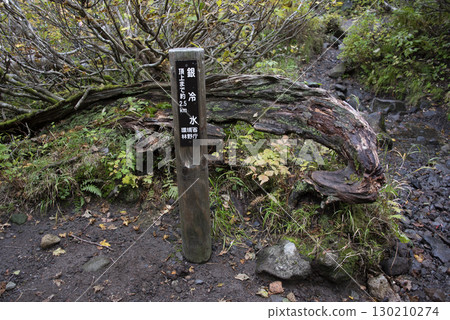 Rausu mountain trail 130210274