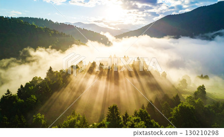 Golden sunlight streaming through morning mist over a lush forest, casting dramatic rays and creating a serene, ethereal landscape filled with warmth and tranquility Golden sunlight streaming through morning mist over a lush forest, casting dramatic rays and creating a serene, ethereal landscape filled with warmth and tranquility 130210298