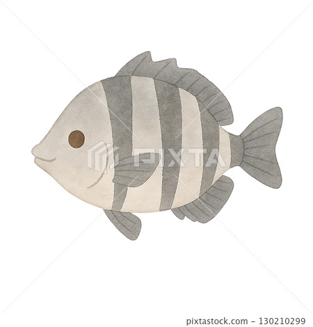 [海洋生物]鸚嘴魚的插圖 130210299