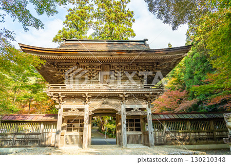 岐阜縣美濃市大矢田神社樓門的紅葉 岐阜縣美濃市大矢田神社樓門的紅葉 130210348