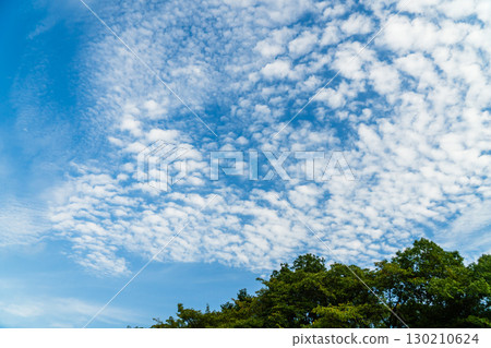 Clouds 130210624