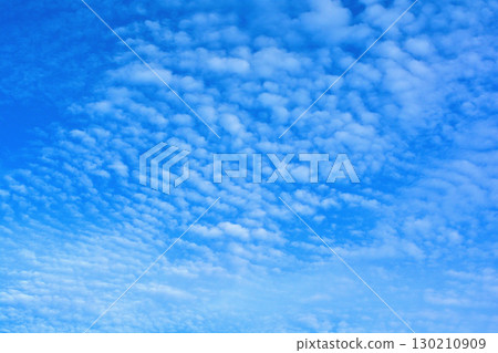 Blue sky and scale clouds background 130210909