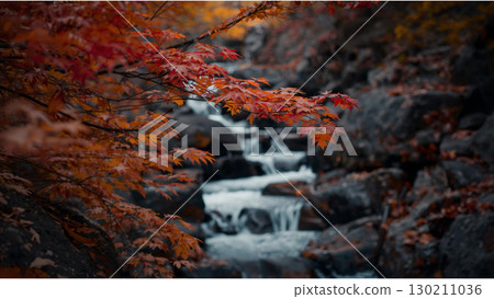 秋天的落葉倒映在山谷的岸邊 130211036