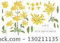 Material set for lady's mantle (one of the seven autumn herbs) 130211135