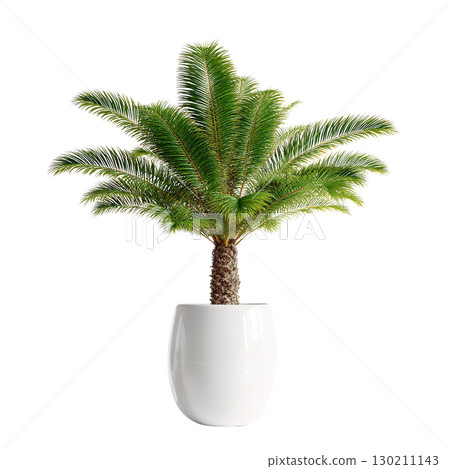 Palm plant in white pot. AI-generated item 130211143