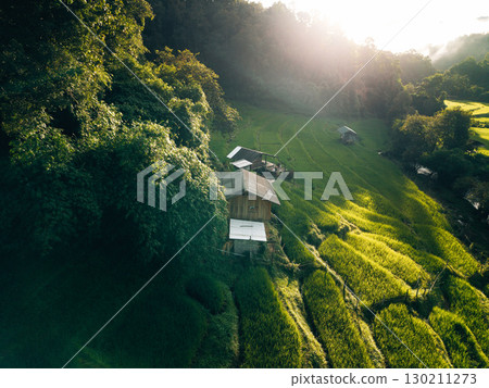 Aerial view of rice fields in the morning, green rice fields in rural Chiang Mai Aerial view of rice fields in the morning, green rice fields in rural Chiang Mai 130211273