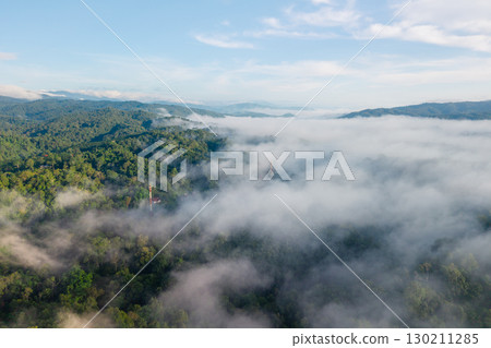 Morning mist in the forest and mountains Morning mist in the forest and mountains 130211285