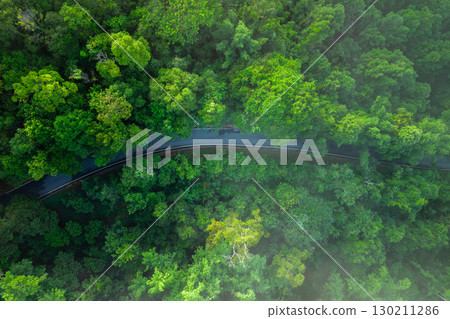 Roads and trees, high angle view of travel and transportation with the environment 130211286