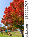Brightly colored trees and slides at a park in Biratori, Hokkaido (October) 130211707