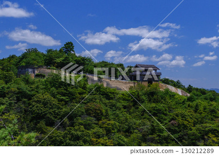 [Okayama Prefecture] Oninojo Castle West Gate 08 130212289