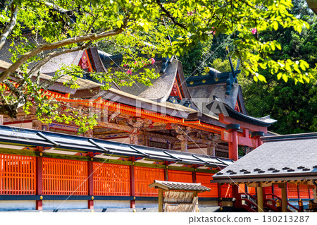【世界遺產:紀伊山地的靈場與參拜道】【紀國一宮】和歌山縣伊東郡葛城町入都比実神社第一本殿 【世界遺產:紀伊山地的靈場與參拜道】【紀國一宮】和歌山縣伊東郡葛城町入都比実神社第一本殿 130213287