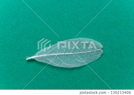 Beautiful white veins on a green background Skeleton leaf Beautiful white veins on a green background Skeleton leaf 130213408