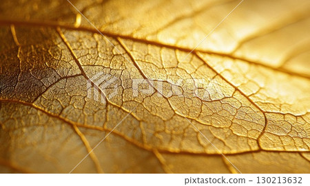Golden Leaf Macro with Autumn, and Nature Texture. Golden Leaf Macro with Autumn, and Nature Texture. 130213632