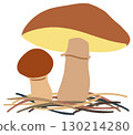 黏糊糊的牛肝菌的插圖 130214280