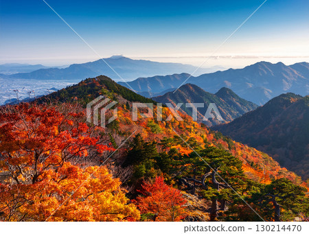 Autumn leaves starting to change color in the mountains 130214470