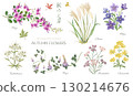 Watercolor illustration set of the seven herbs of autumn 130214676
