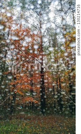 Raindrops blurring colorful autumn forest seen through car window 130214716