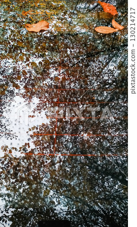 Rain drops and autumn leaves resting on car rear window in bohemian paradise Rain drops and autumn leaves resting on car rear window in bohemian paradise 130214717