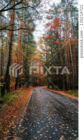 Winding road through autumn forest in bohemian paradise, czechia Winding road through autumn forest in bohemian paradise, czechia 130214722
