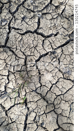 Dry cracked earth texture showing severe drought conditions in tupadly, czech republic. In april Dry cracked earth texture showing severe drought conditions in tupadly, czech republic. In april 130214745