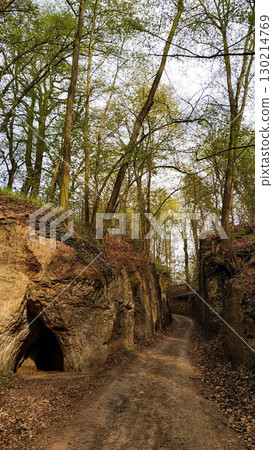 Winding path through sandstone cliffs in tupadly forest. In april Winding path through sandstone cliffs in tupadly forest. In april 130214769