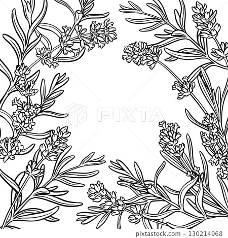 Lavender Branch with Flowers Outline Frame. 130214968